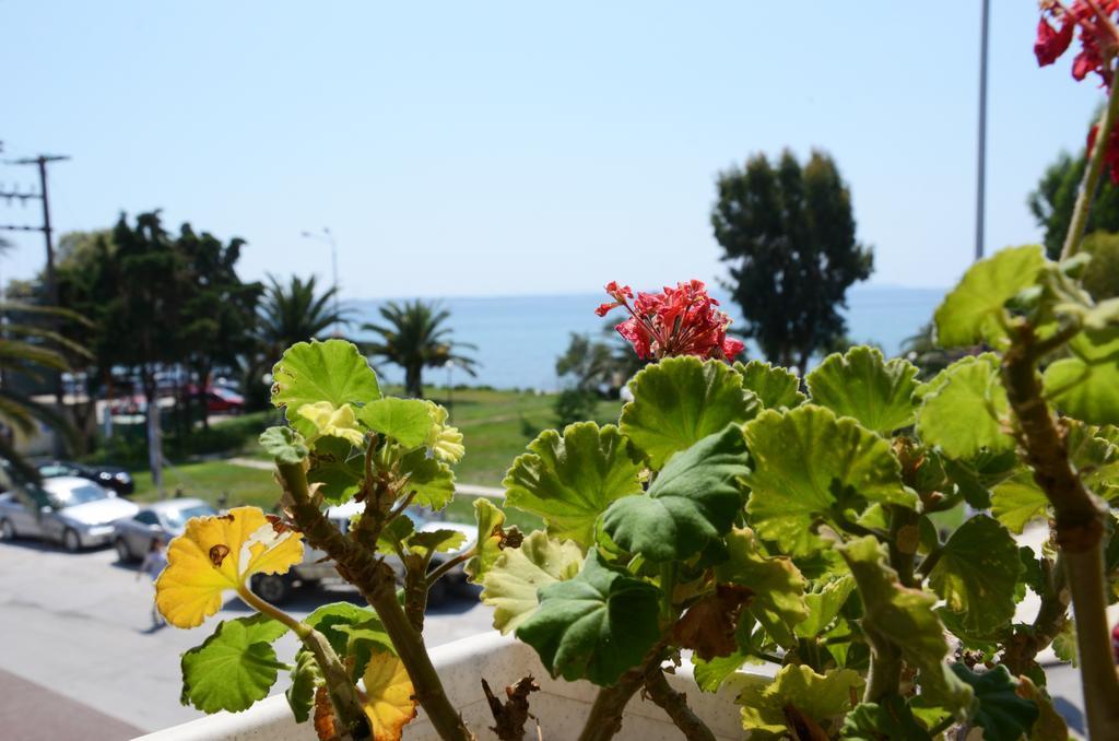 Hotel Cavo D' Oro Nea Moudania Exteriér fotografie